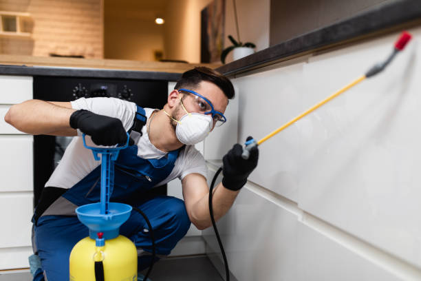 Best Affordable Pest Control Services  in Coleytown, CT