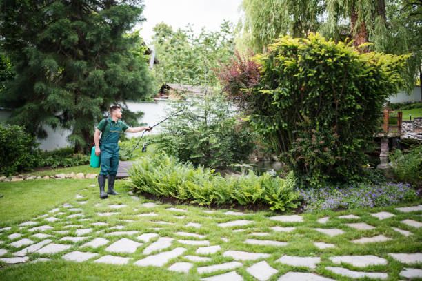 Best Commercial Pest Control Services  in Coleytown, CT