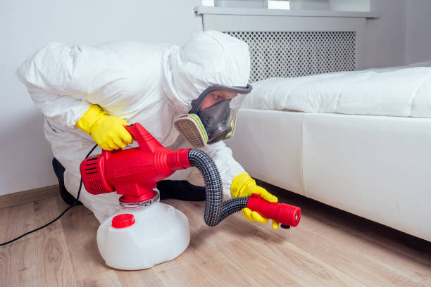 Professional Pest Control in Coleytown, CT