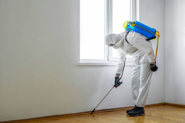 Best Pest Control Near Me  in Coleytown, CT