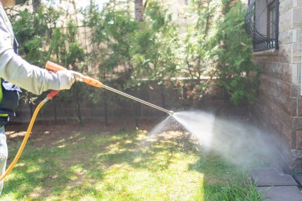 Best Local Pest Control Services  in Coleytown, CT