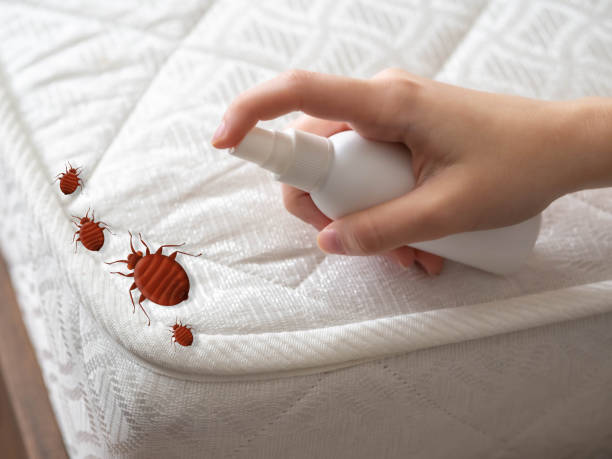 Best Emergency Pest Control  in Coleytown, CT