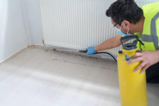 Pest Control Cost in Coleytown, CT