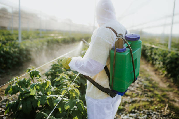 Best Best Pest Control Companies  in Coleytown, CT